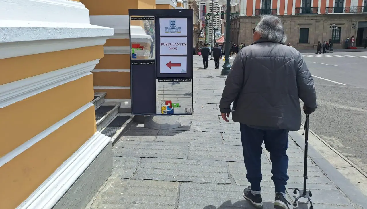 Este lunes finaliza el plazo para postular a vocal del Tribunal Supremo Electoral