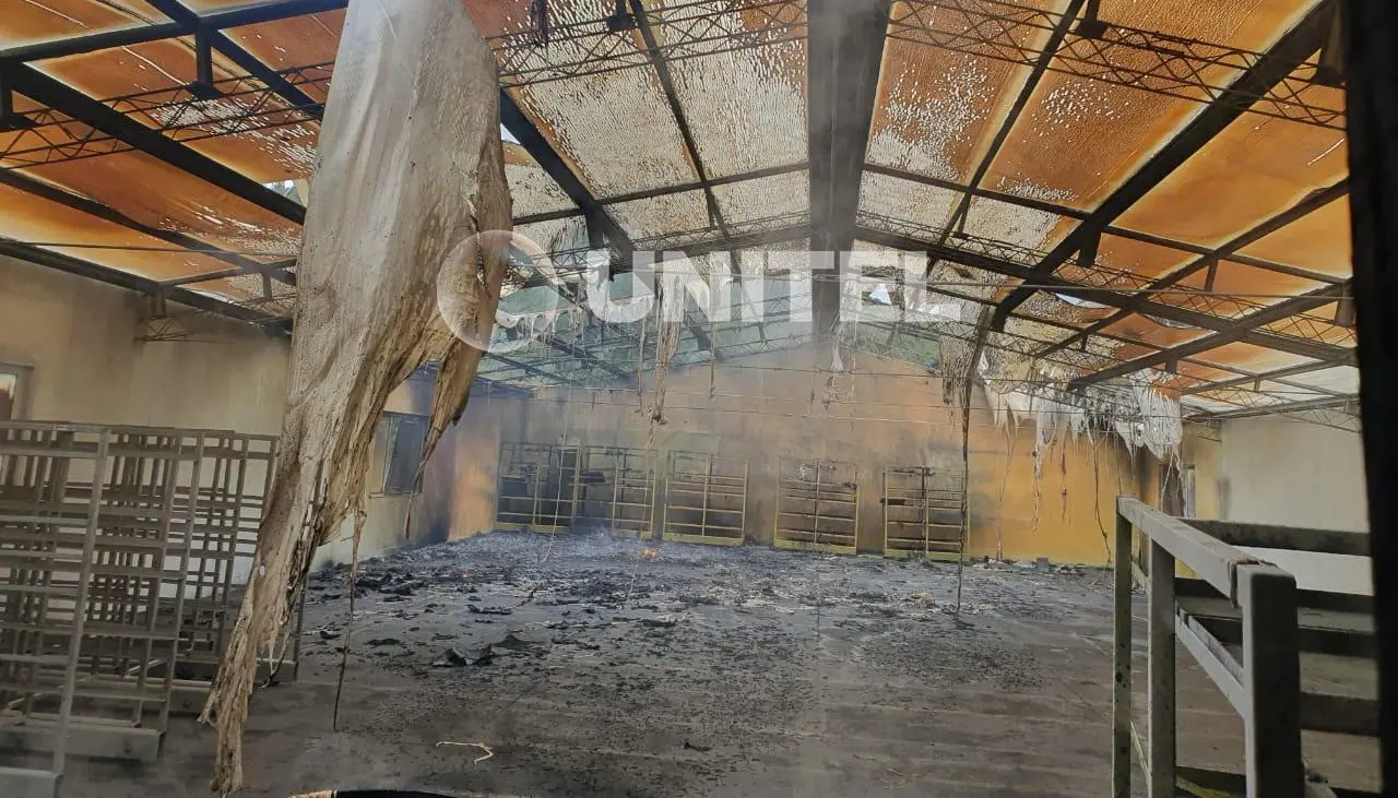 Detonación en una fábrica de explosivos se cobra la vida de un trabajador y deja a otro herido