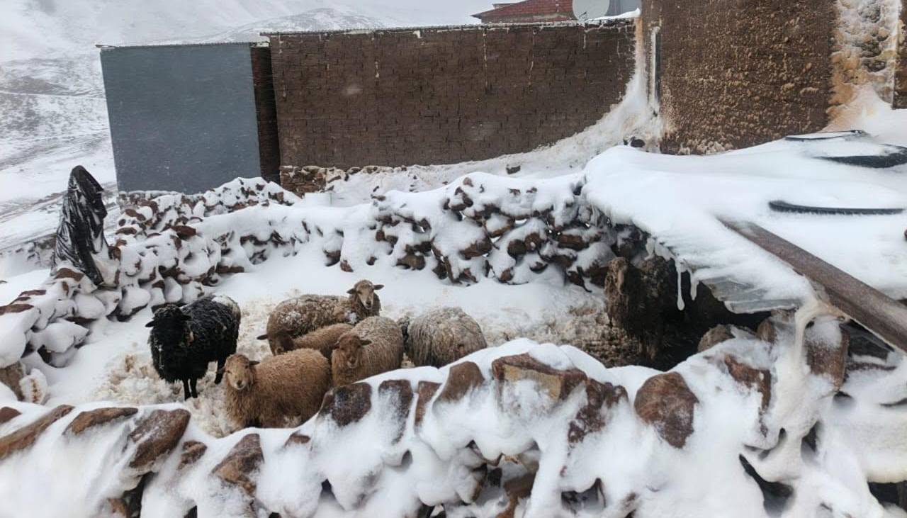 Nevadas en las dos últimas semanas dejan 82.728 familias afectadas en seis regiones de Bolivia