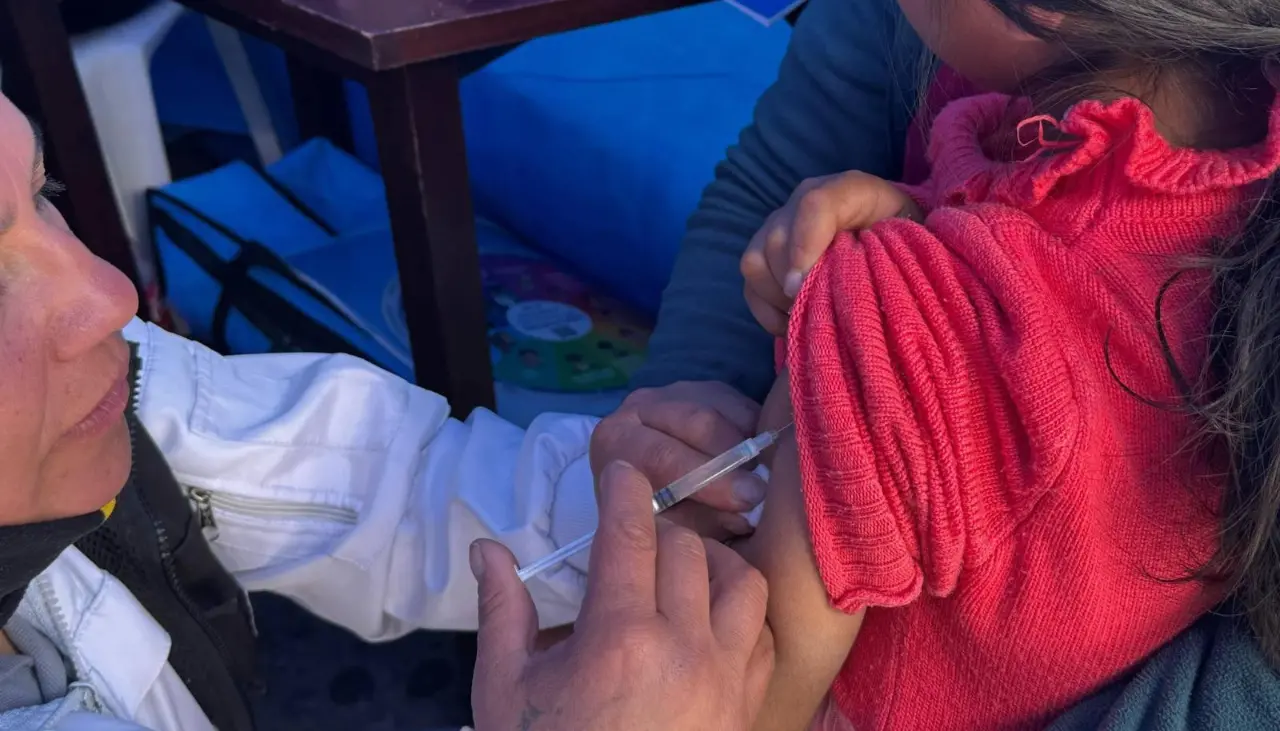 Convocan a la vacunación contra la influenza y disponen de 1,78 millones de dosis