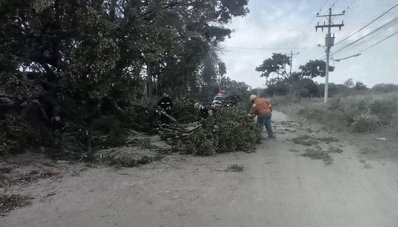 Vientos fuertes afectarán a Santa Cruz: tome en cuenta estas recomendaciones
