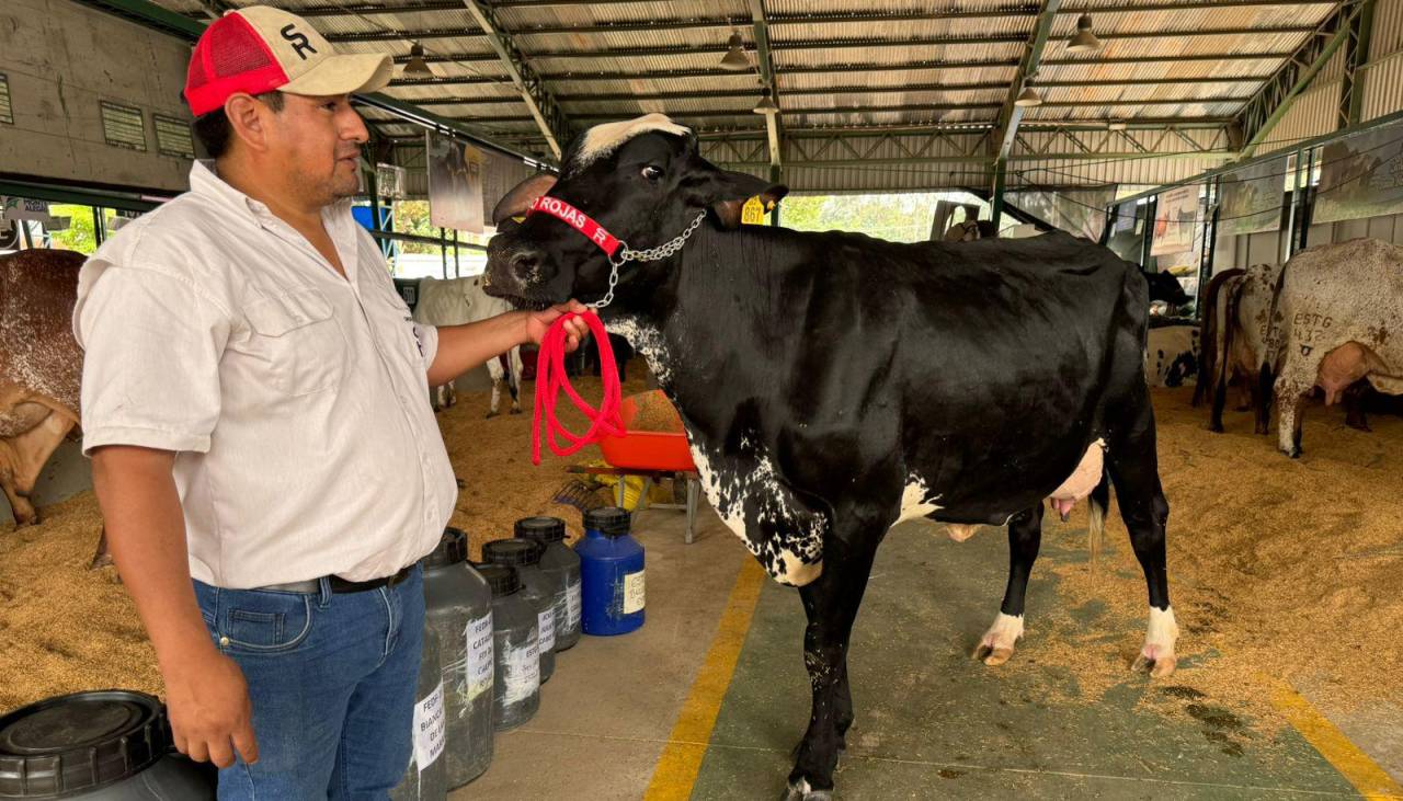 Expocruz 2024: Catalina FIV rompió el récord de producción lechera