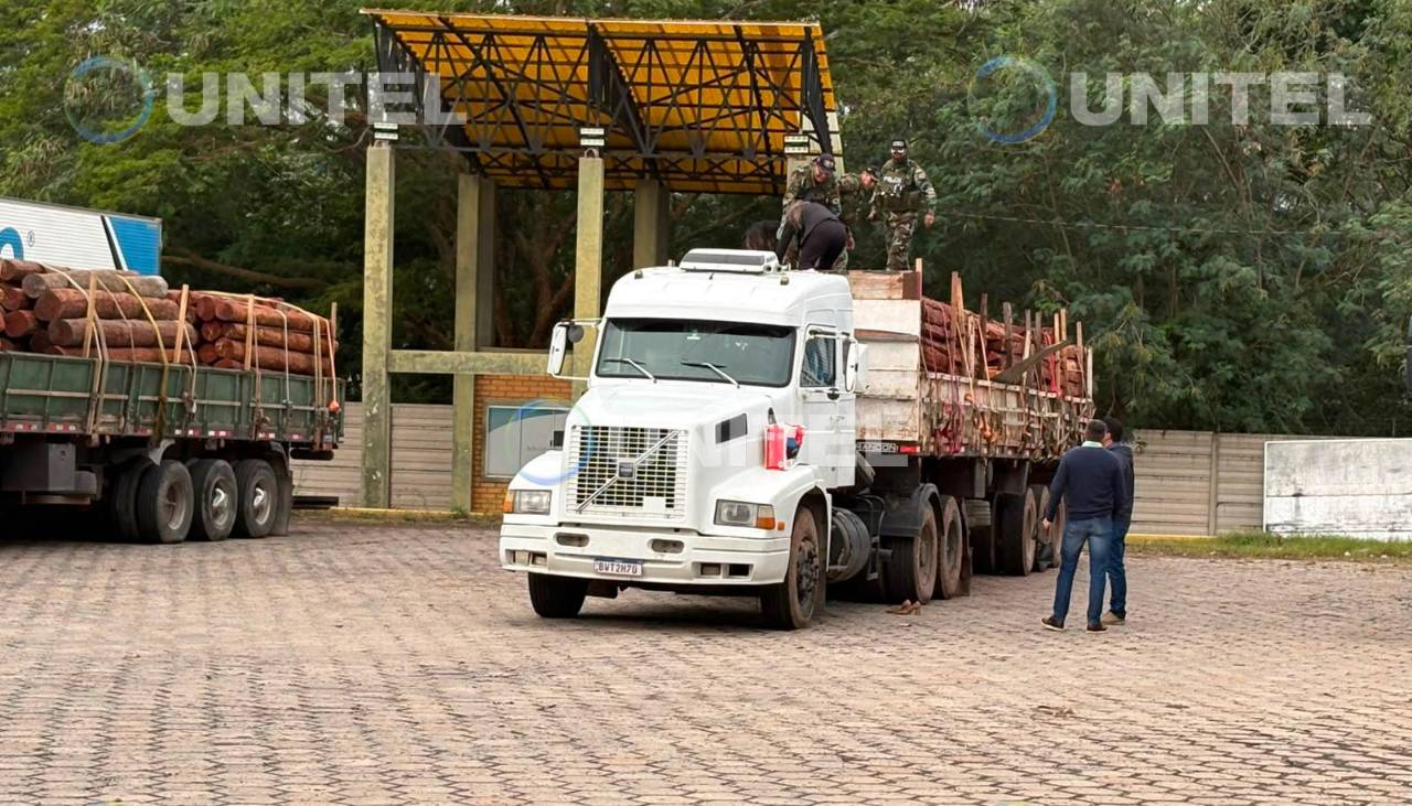 Intensifican controles a los cargamentos de madera en la frontera con Brasil