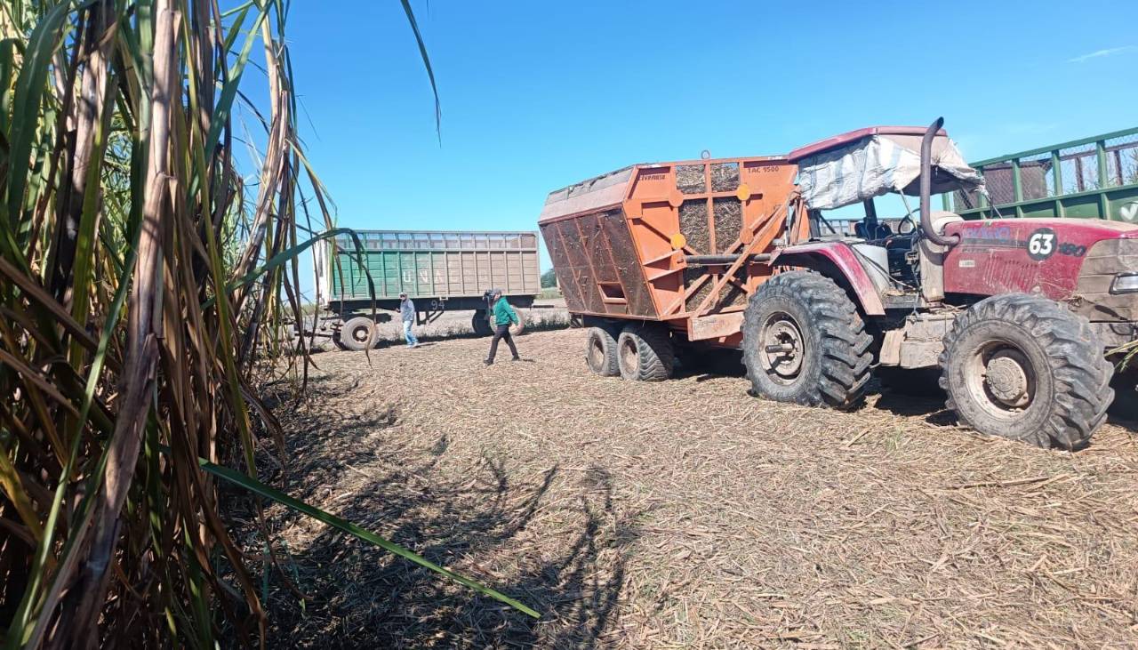 Escasez de diésel golpea al Norte Integrado cruceño y paraliza la recolección de caña de azúcar