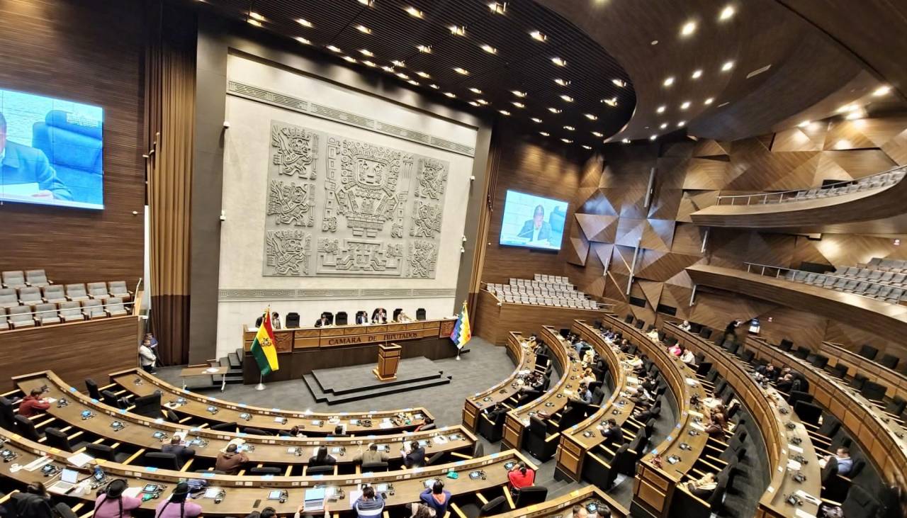 Cámara de Diputados aprobó dos créditos que suman en total $us 400 millones