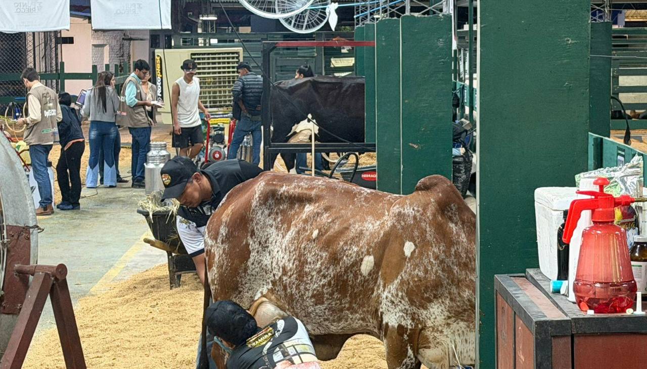 Concurso lechero y el pesaje de los animales, entre las primeras actividades de Agropecruz 2026