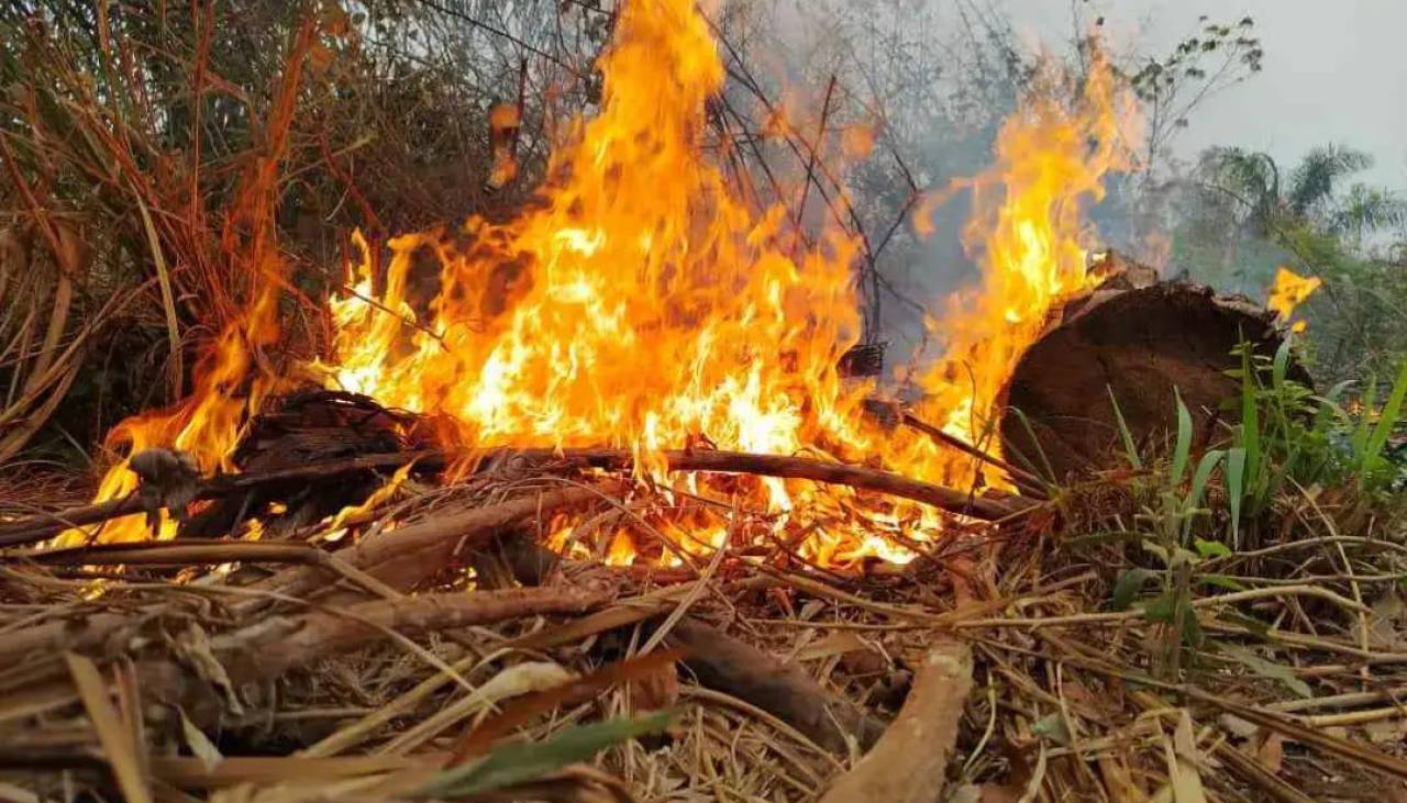 Al menos nueve personas que combatían incendios quedaron atrapadas por el fuego en Concepción, señala corregidora