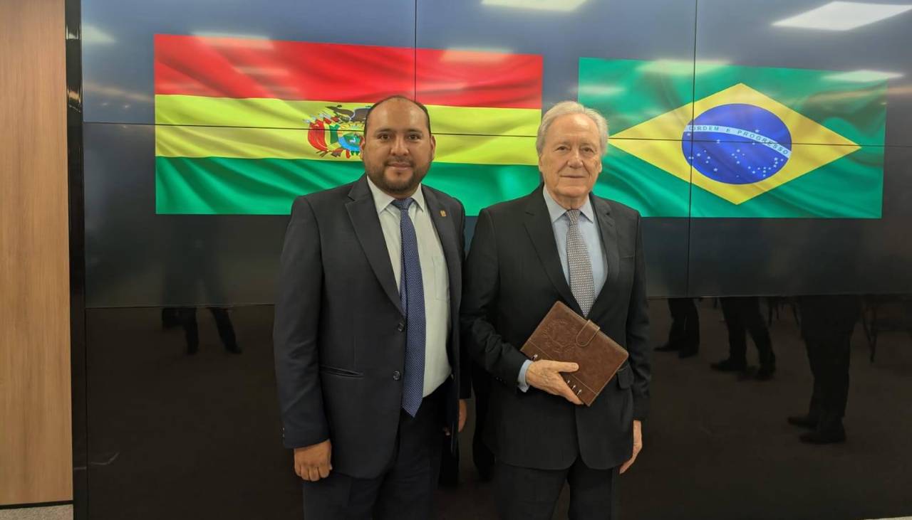 Bolivia y Brasil acordaron operativos de lucha conjunta contra el narcotráfico, informó viceministra
