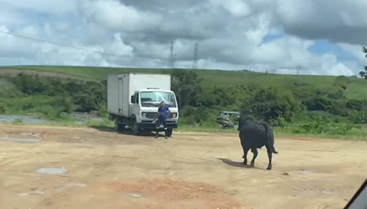 Video: Hombre se viraliza al escapar del ataque de un toro 