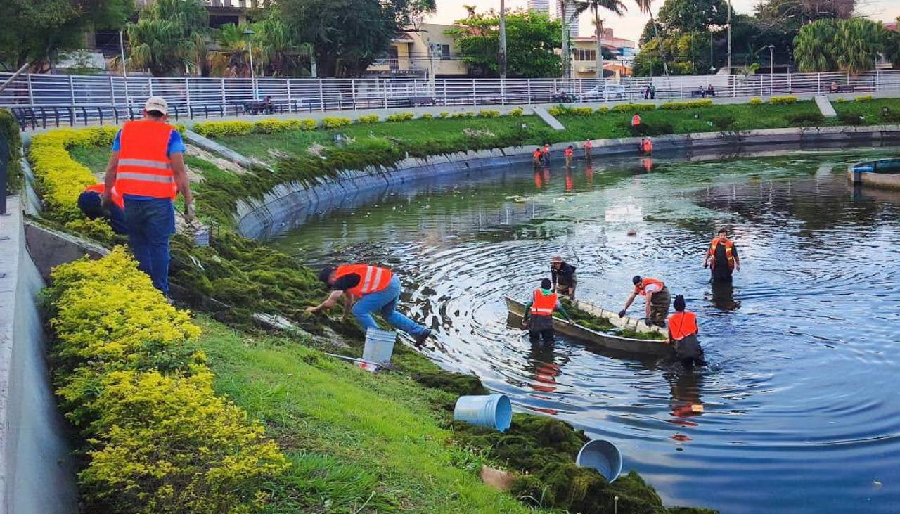 Anuncian el regreso de las sirenas y las hidras al parque El Arenal tras 16 años