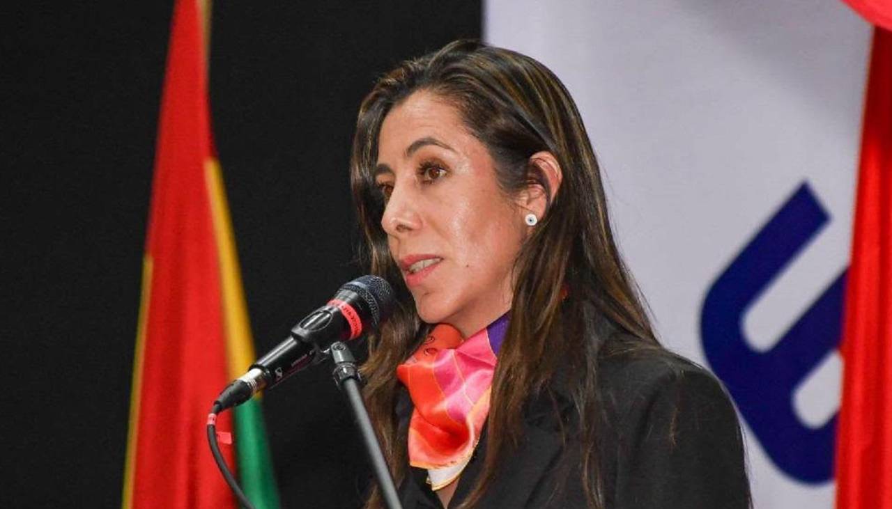 Reunión Paz y gobernadores: Tarija dice que es necesario abrogar paquete normativo para avanzar al 50-50
