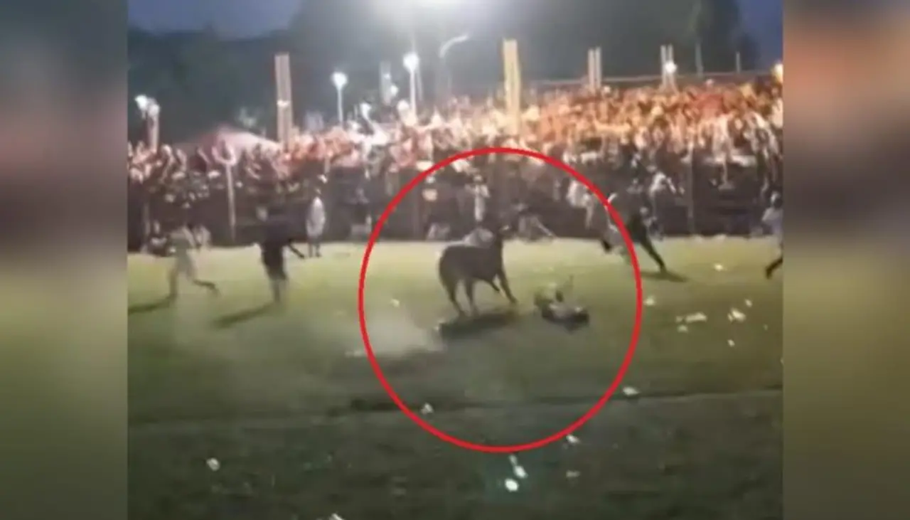 “Warneño siempre”: Hombre herido de gravedad en jocheo de toros bromea cuando le suturan el rostro