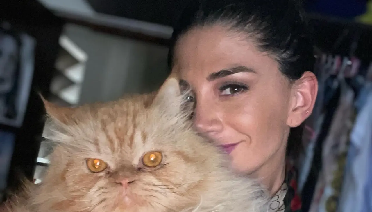 “Te amé mi gordito peludo con todo el corazón”: Las emotivas palabras de Anabel para Goku, su gatito que falleció