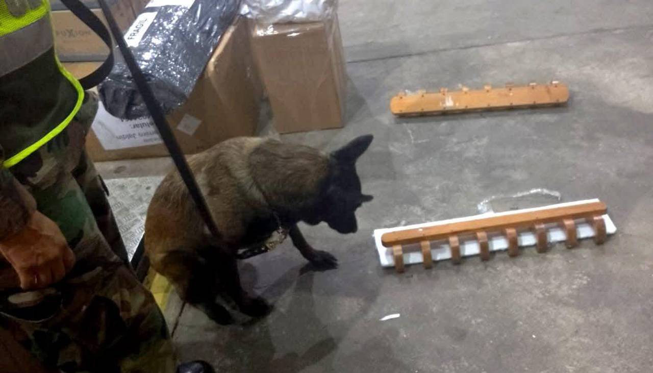 Can antidroga descubre cocaína en percheros de madera que tenía como destino a Hong Kong