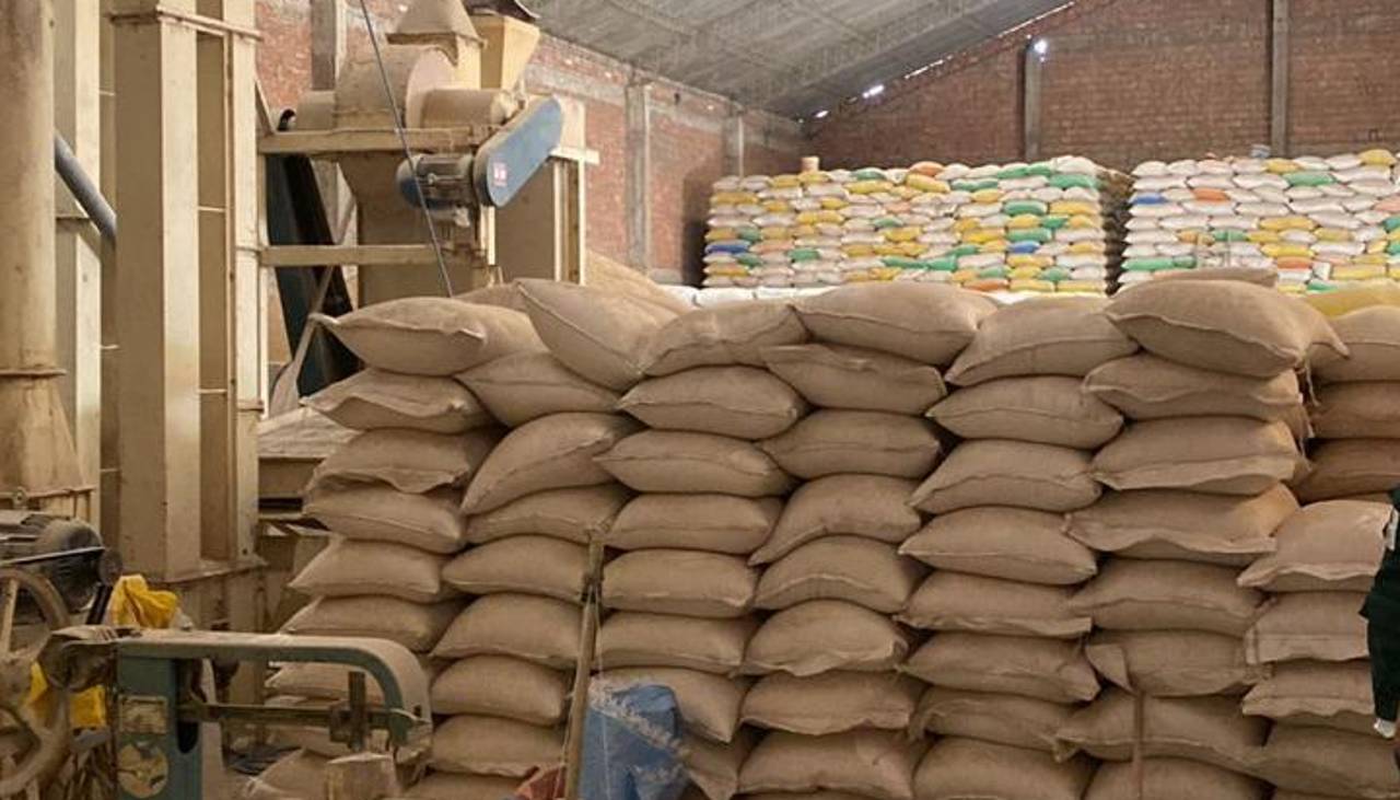 Gobierno paraliza la importación total de arroz mientras dure la cosecha de verano