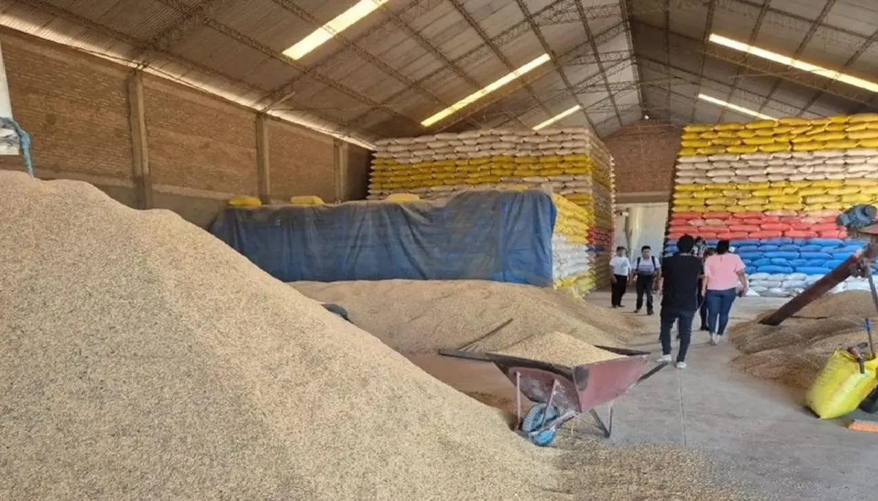 Productores convocan a reunión para abordar problemática del precio del arroz