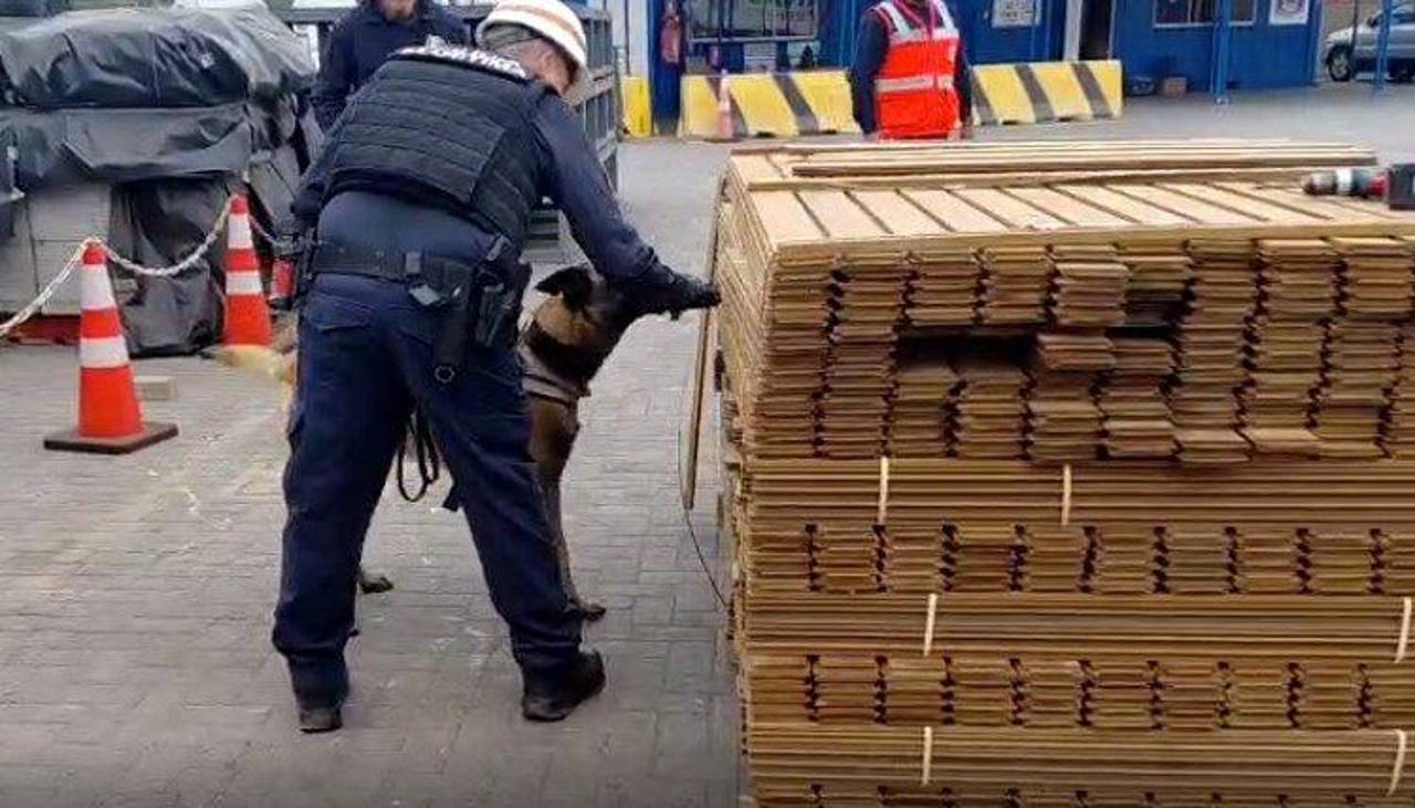 Hay un aprehendido por el caso de droga encontrada en el Puerto de Arica, informa la Fiscalía