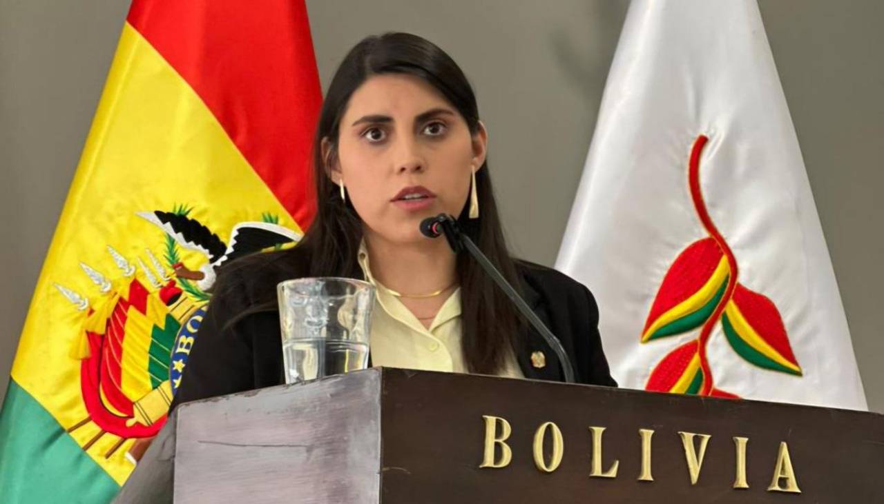 Cívicos cruceños declaran persona no grata a la viceministra de Autonomías y piden su destitución