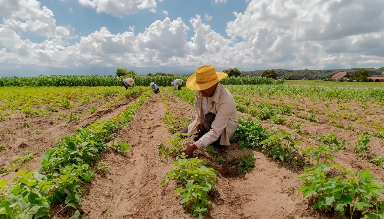 Confeagro pide a Rodrigo Paz promulgar la ley que permite convertir pequeña propiedad en mediana