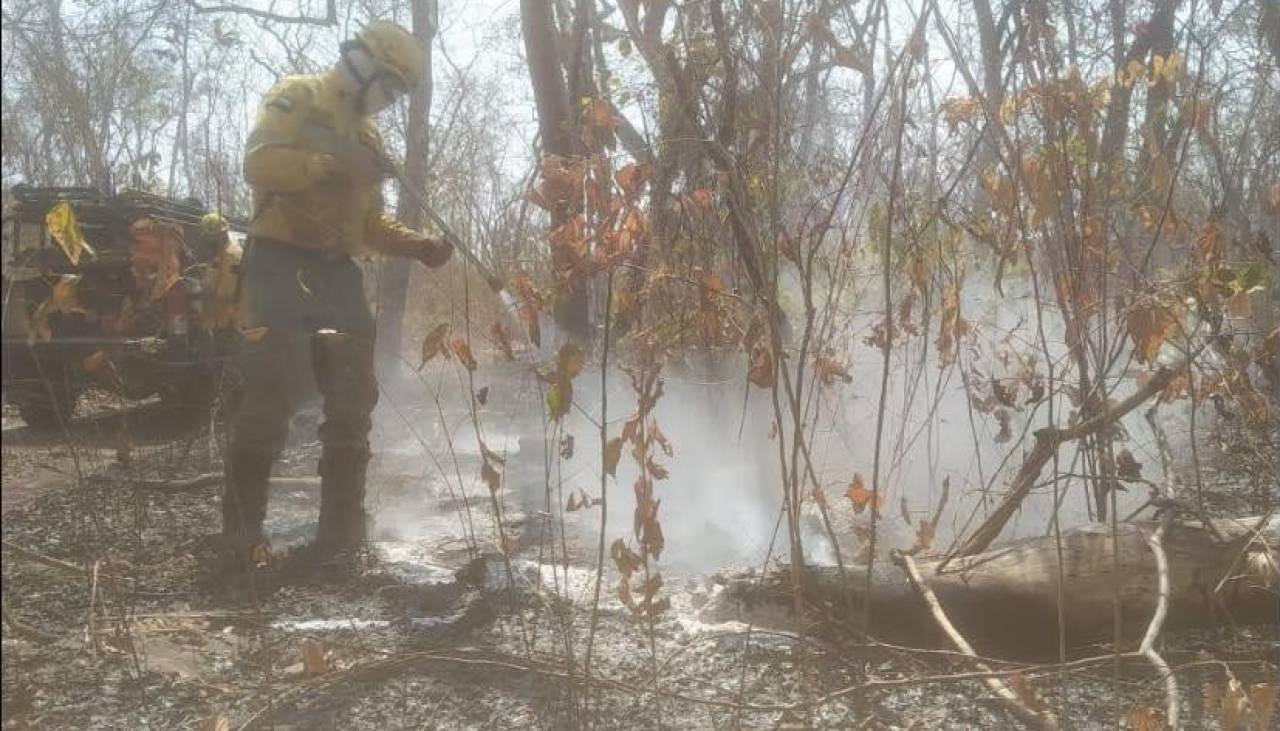 Persisten 46 incendios en Santa Cruz y Gobernación lamenta que las vertientes de agua se están contaminando en áreas rurales