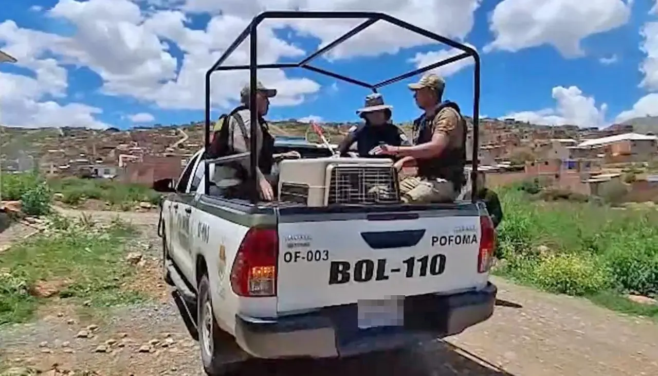 Niño mordido por un perro será operado este jueves; el dueño del can fue arrestado