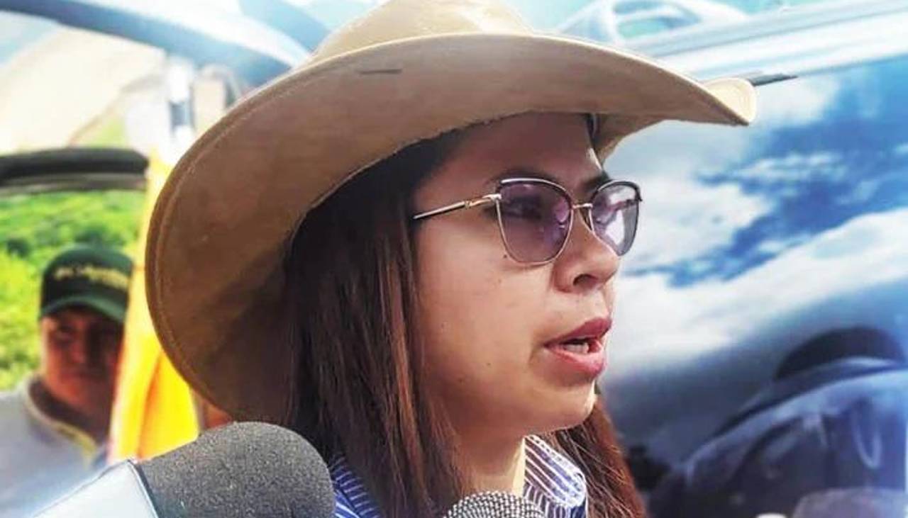 La diputada Diana Romero, esposa de Edmand Lara, fue internada en una clínica de Santa Cruz