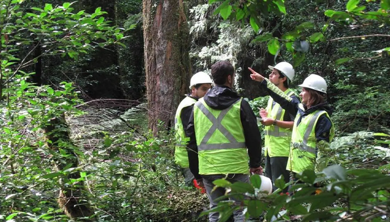 Sector privado pide anular el Decreto 5613 y “no retroceder premiando la informalidad y la ocupación ilegal”