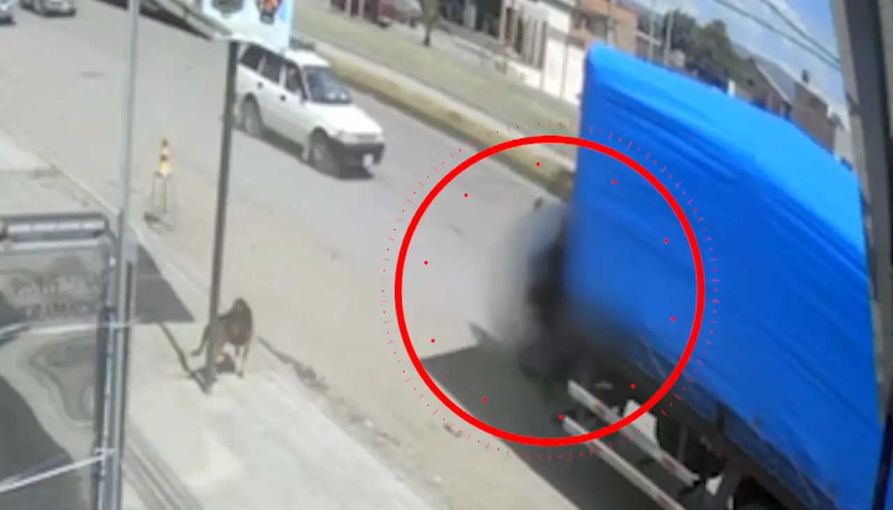 Video: Motociclista muere tras chocar contra un auto y luego contra un tráiler