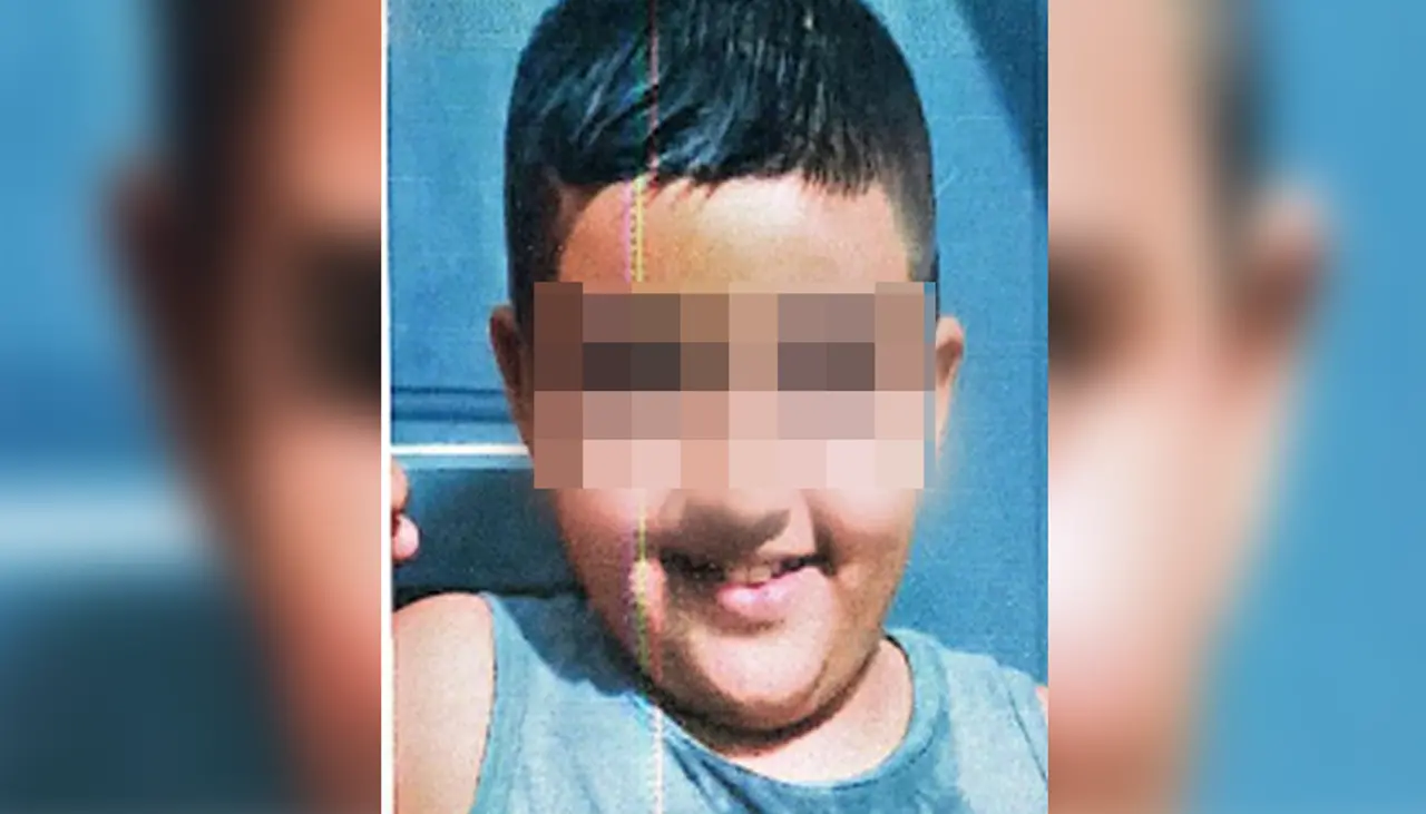 Hallan al niño que desapareció luego de subir a un micro junto a su madre