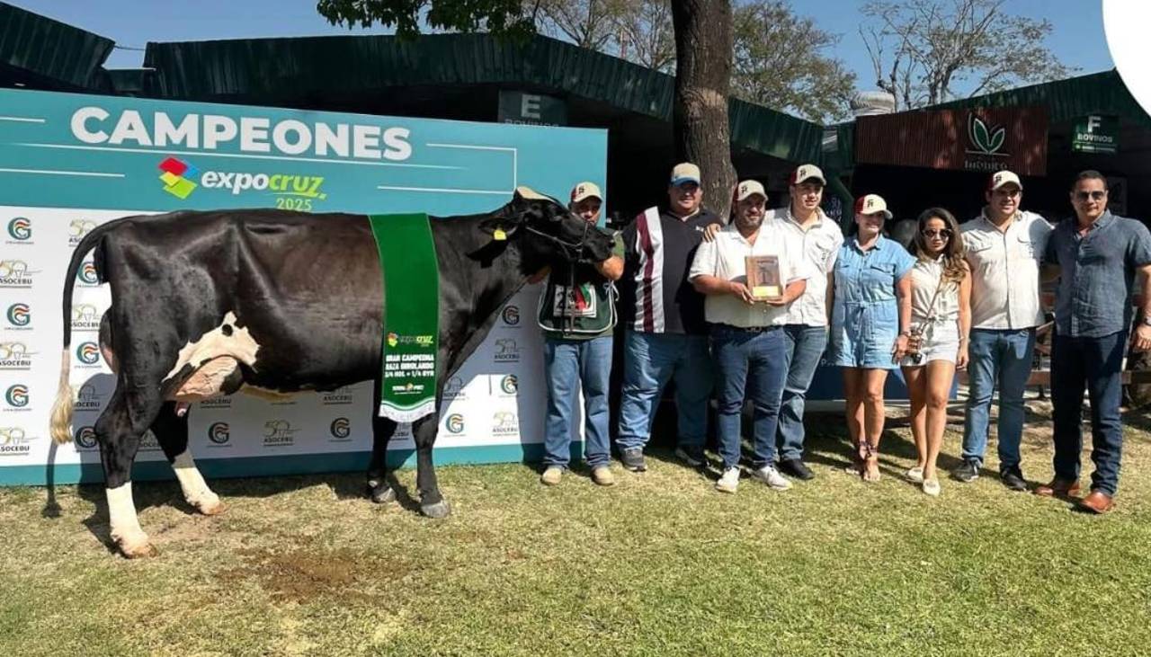 Expocruz 2025 ya tiene a sus primeros campeones de las razas cebuinas