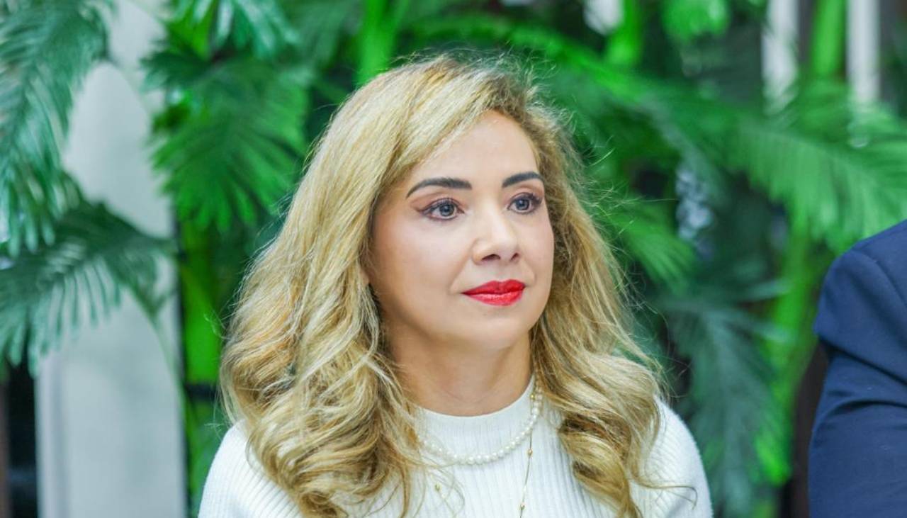 Expresidenta de la Aduana es investigada por tres delitos en la compra de escáneres y deberá declarar en calidad de sindicada