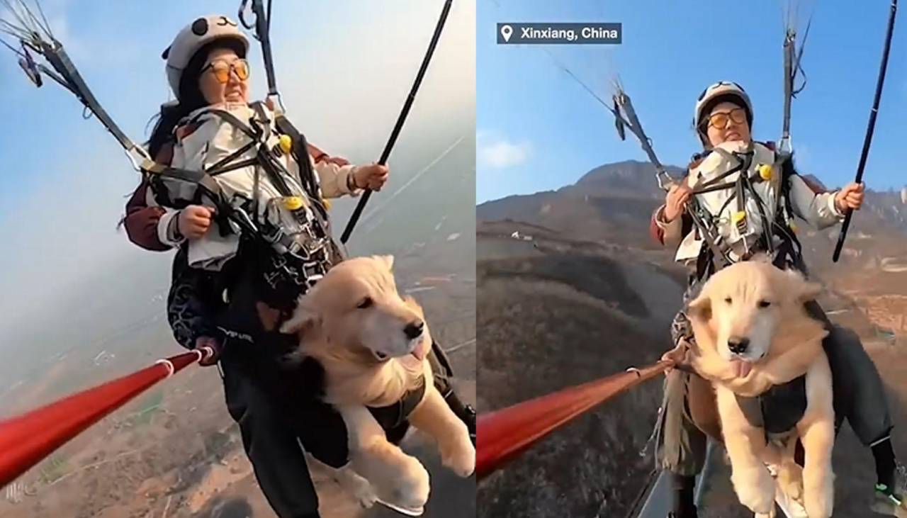 Se viraliza el paseo en parapente de una mujer con su mascota