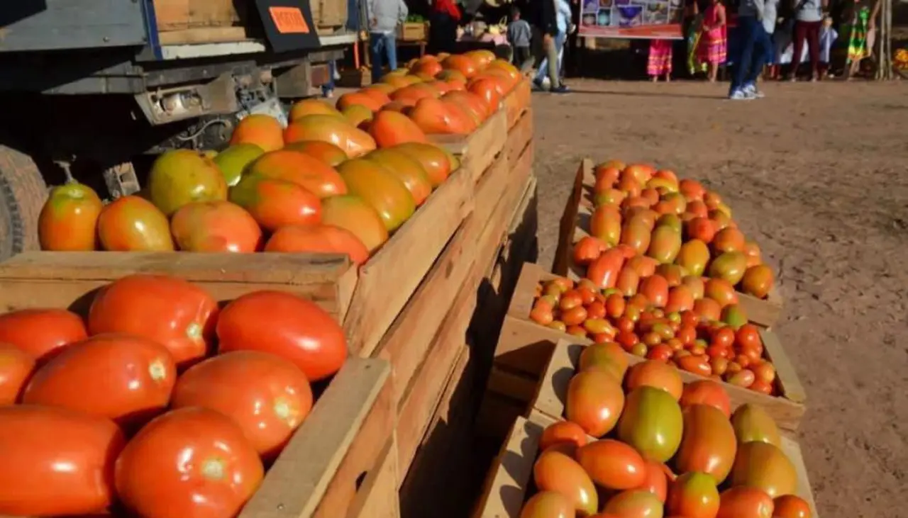 “Se pierde la mitad”: Productor de tomate de los valles cruceños lamenta que no puede trasladar alimentos a otras regiones