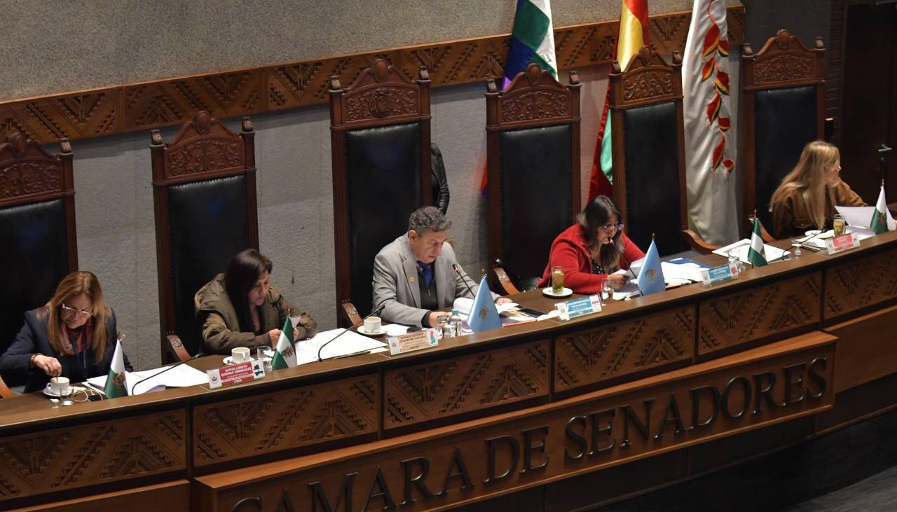 Senado alista tratamiento de crédito de $us 500 millones del BID destinado a la “protección social”