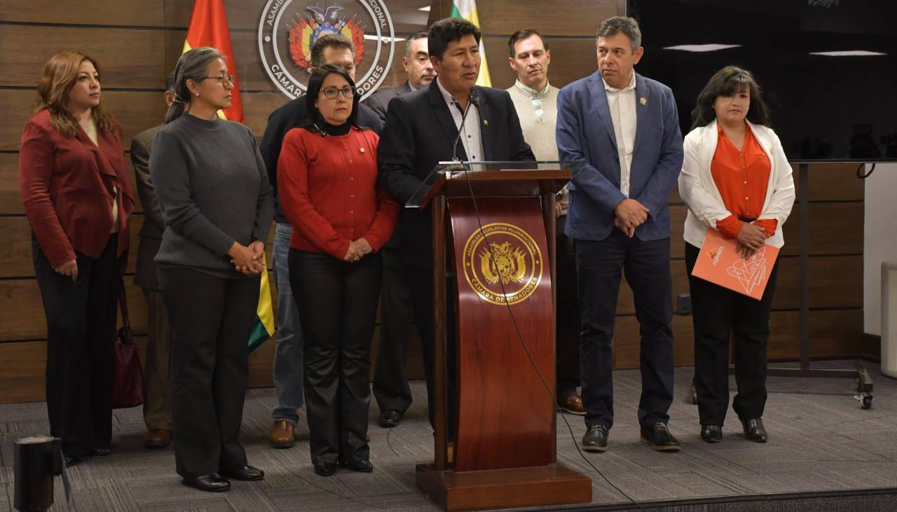 Caso madera: Comisión del Senado evidencia en Chile que examen a la carga boliviana no confirman droga