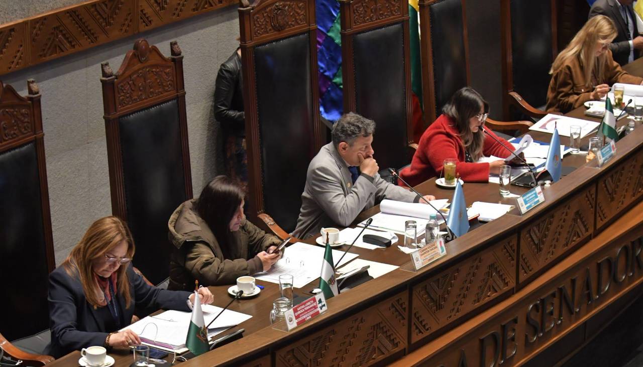 Senado sanciona préstamo de $us 40 millones del BID para saneamiento de tierras