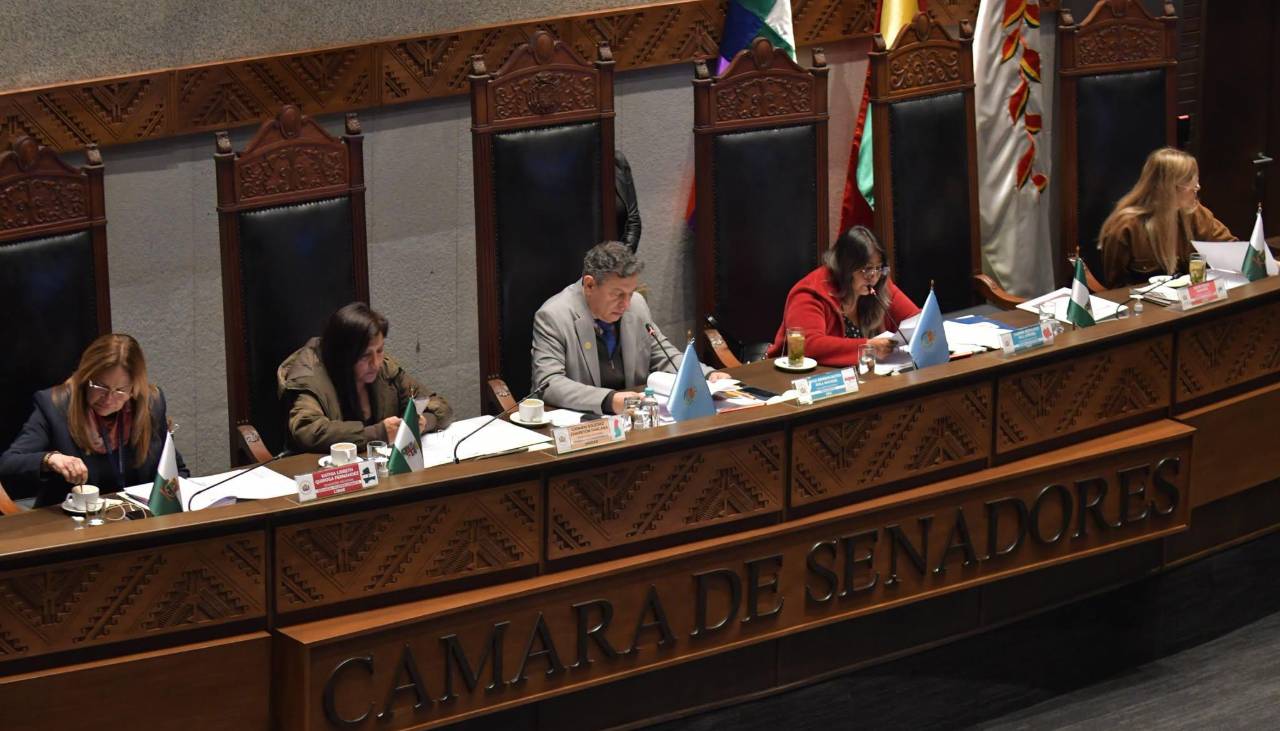 Senado sanciona crédito de $us 500 millones del BID para el pago de la Renta Dignidad 