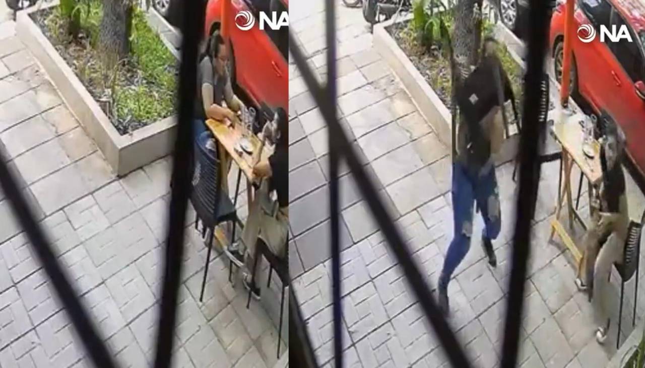 Video: Noqueó de un sillazo a un delincuente que intentó robarle el celular a una joven