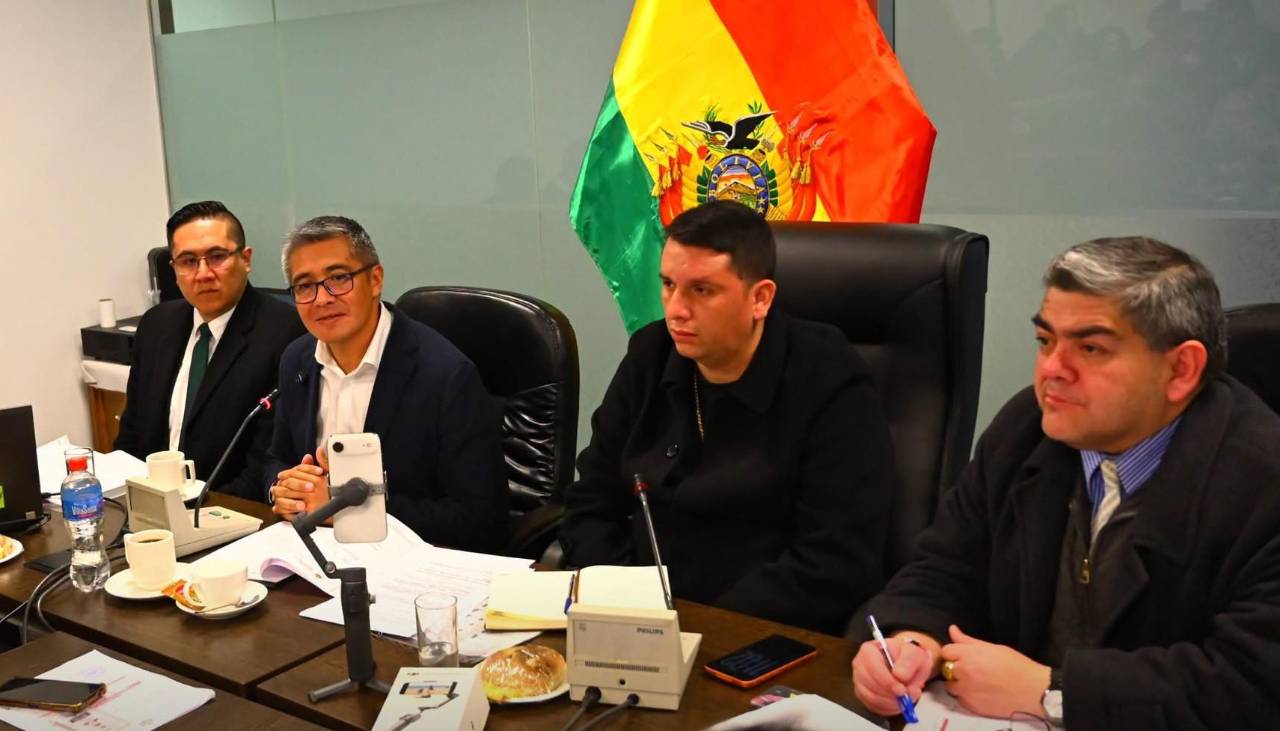 Comisión de Diputados aprueba tres créditos por más de $us 564 millones para agricultura y protección social
