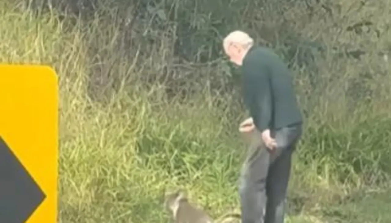 Abuelo héroe: Terry, de 82 años, rescata a un koala en plena carretera y conquista corazones 