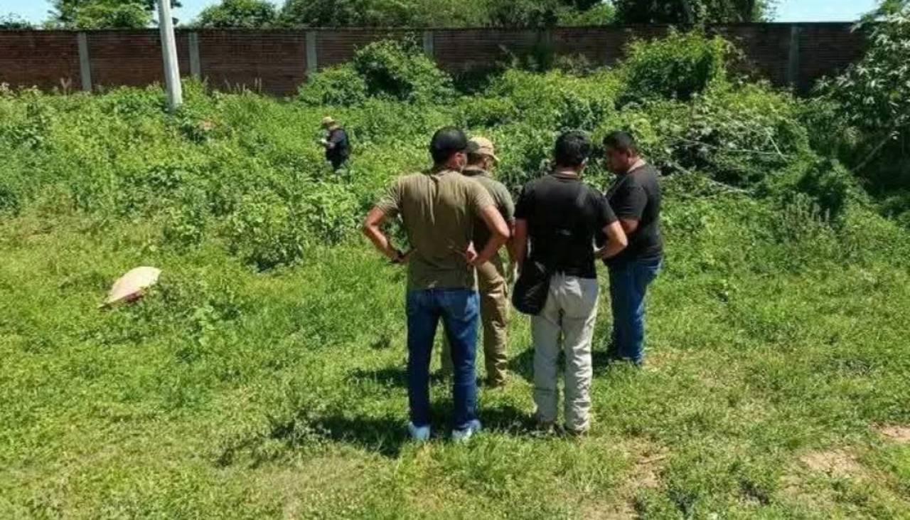 Reportan el hallazgo de un cuerpo sin vida en la ruta Santa Cruz – Puerto Paila 