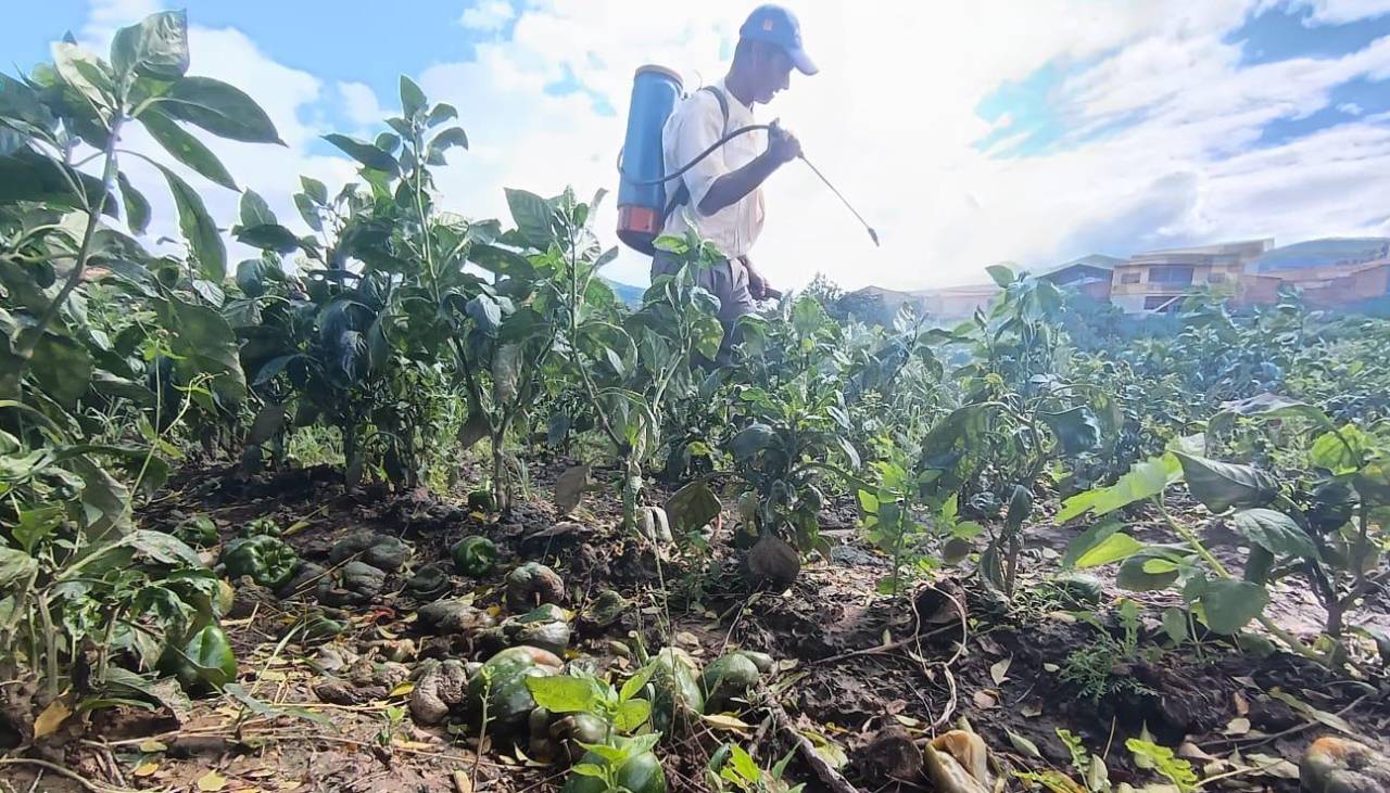 Ministro minimiza la emergencia en los Valles cruceños y dice que no hay reporte sobre pérdidas