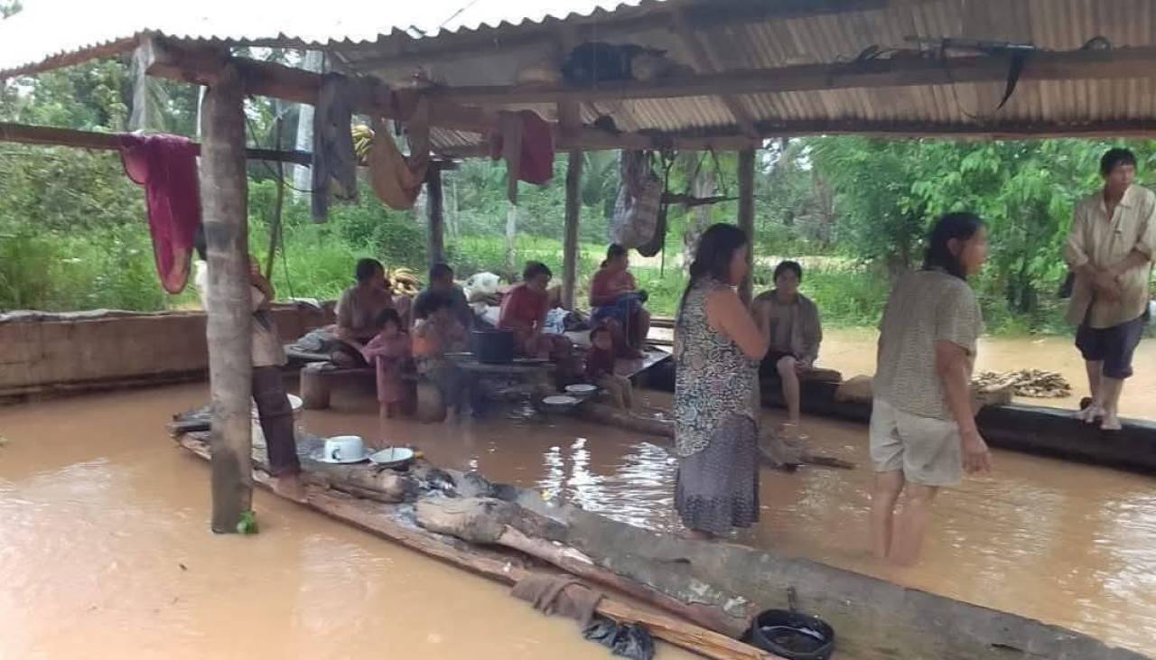 Intensas lluvias provocan desborde de ríos, inundaciones y destrucción de cultivos en el país