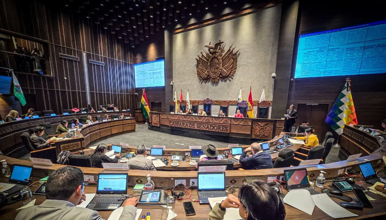 Sesión del Senado: Remiten a Comisión de Planificación el crédito de $us 100 millones del Japón