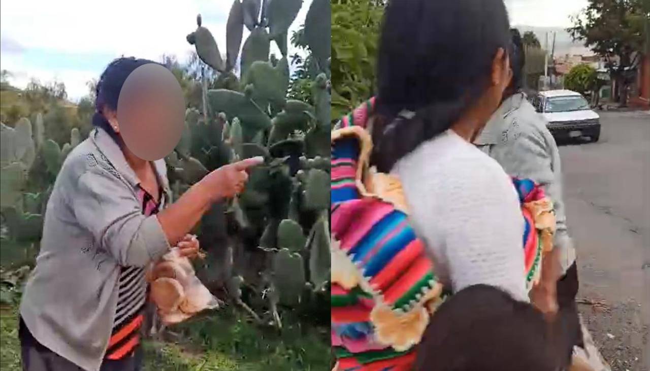 Surge nueva denuncia por unas tunas: graban a una mujer increpando a otra persona por sacar la fruta de un árbol