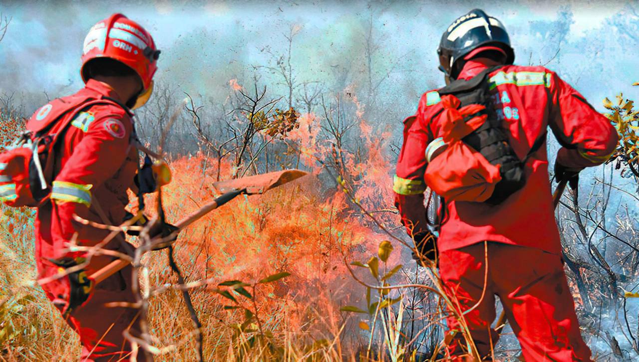 Incendios forestales: Habilitan las estaciones policiales del país para recibir donaciones