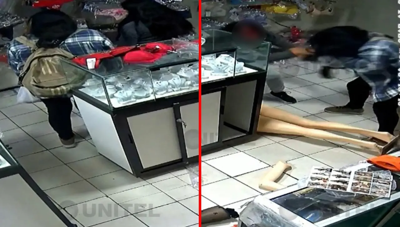 Video: se hizo pasar por una cliente y atacó a golpes a una mujer que atendía una tienda para robarle ropa y joyas