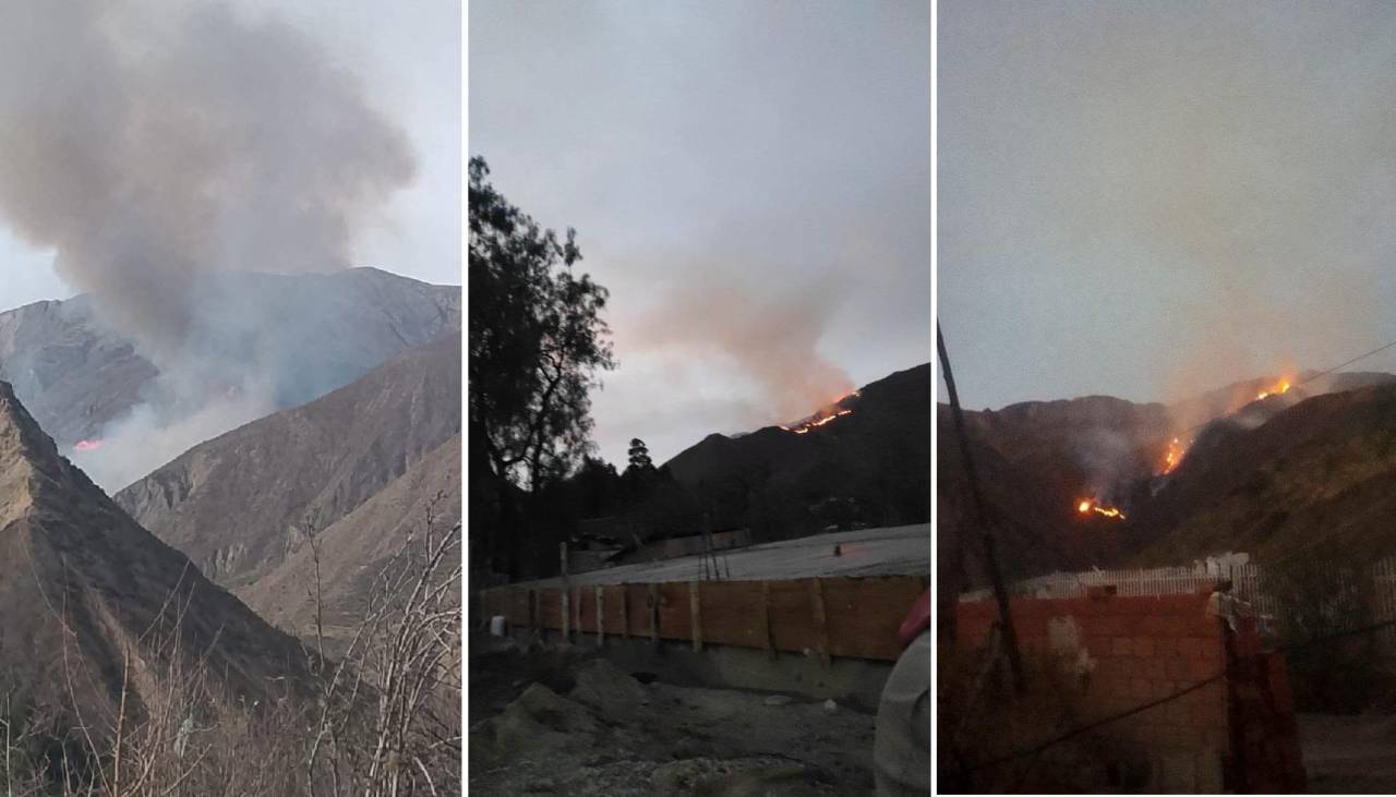 La Paz: Reportan incendio forestal en Sapahaqui y vecinos piden apoyo para frenar su avance