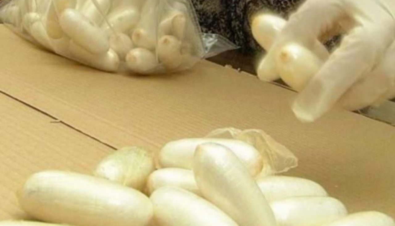Caen 28 bolivianos en Brasil que transportaban un promedio de 90 cápsulas de droga en el estómago