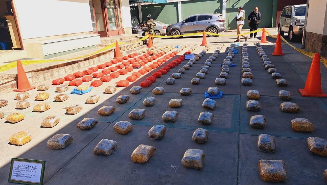 Felcn incauta más de 200 kilos de marihuana en una vivienda en Cochabamba